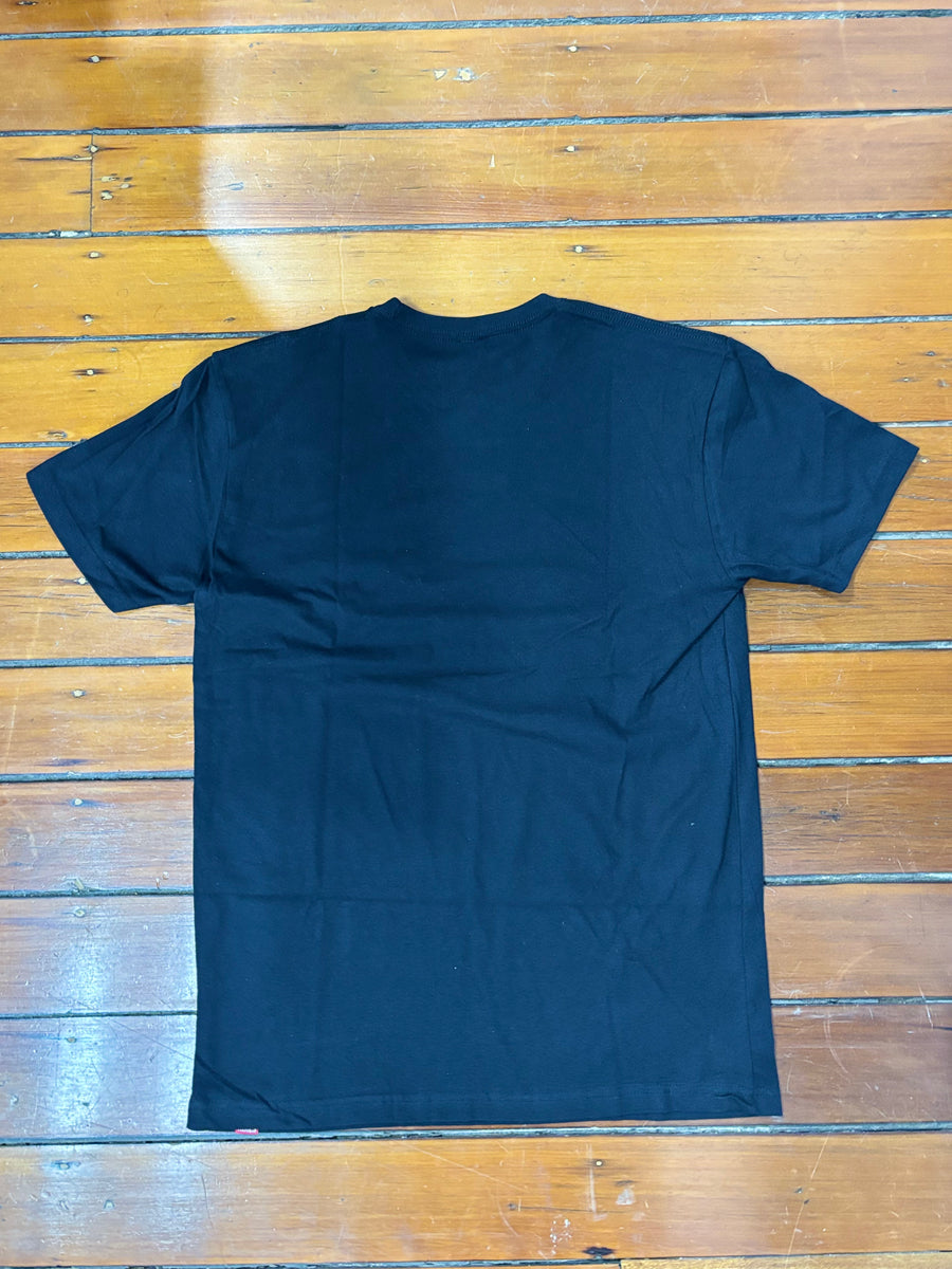 Kimes Ranch Tee - Places (Mint)
