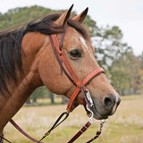 Tie Down Noseband (TCCWS2051013131114)