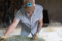 Lazy J Ranch Wear - Pearl Snap Short Sleeve Shirt (Teal Mesa)