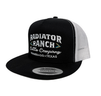 Dale Brisby - Black Radiator Ranch All Around