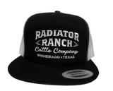 Dale Brisby - Black Radiator Ranch All Around