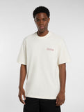 Dickies Fairlawn Tee - Egret