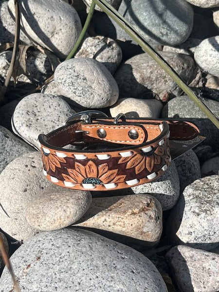 Dog Collar - Turquoise Sunflower