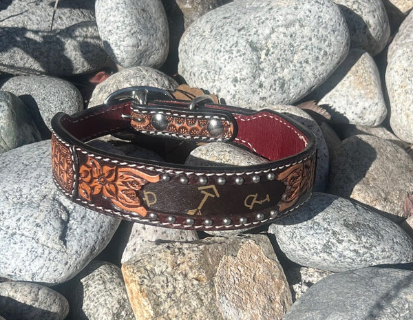 Dog Collar - Printed Arrow